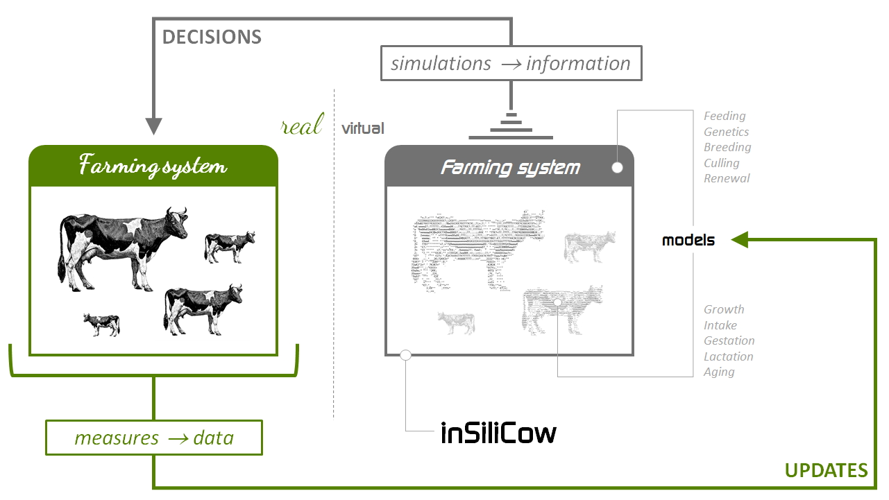inSliCow_visuel_FR.png