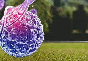 vignetteDigitBio2